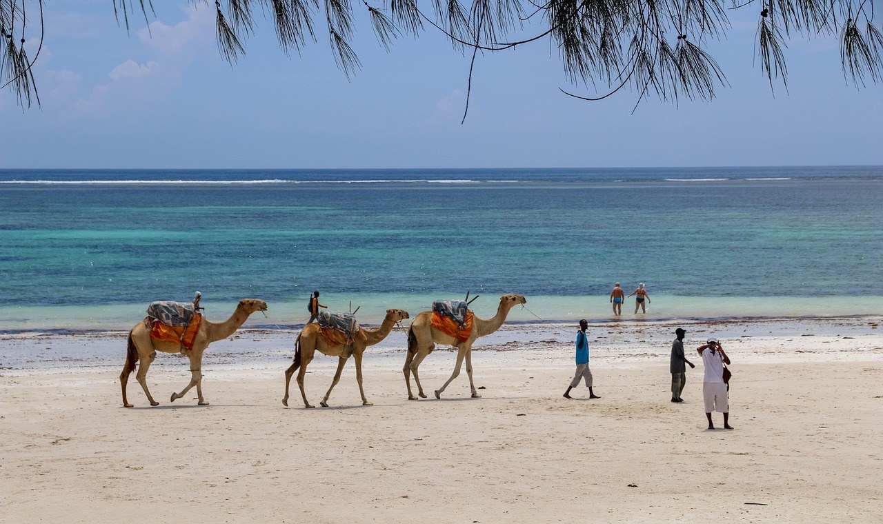KENIJA – DIANI BEACH I SAFARI  Vodeća plaža Afrike Diani Beach i safari u dva nacionalna parka u jednom putovanju 9 dana