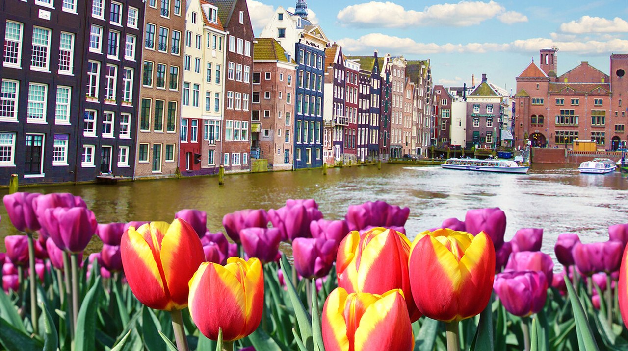 Amsterdam i nizozemska polja tulipana, 6 dana autobusom (M)