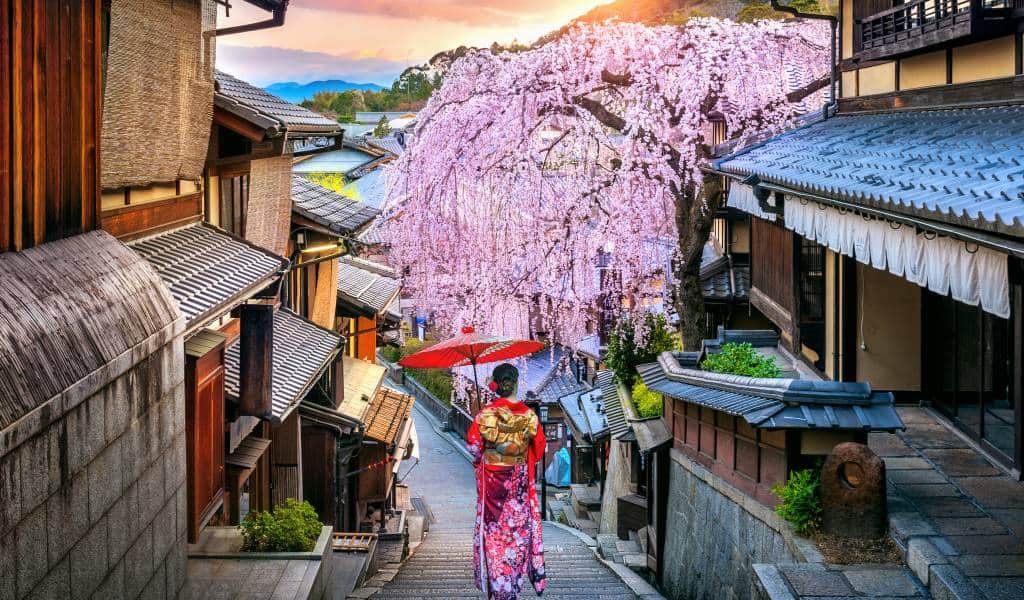 JAPAN VELIKA TURA 2026. 14 DANA ZRAKOPLOVOM